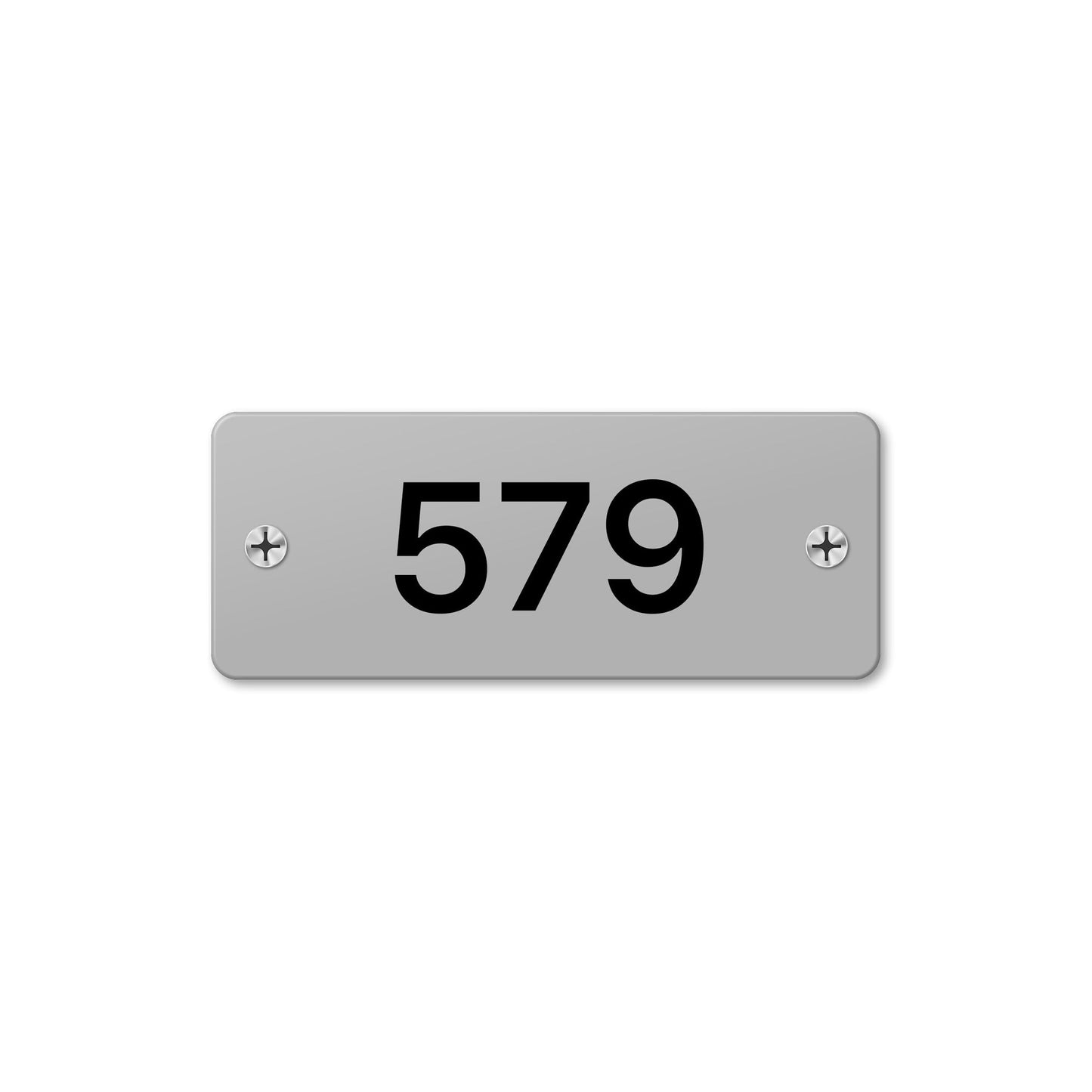 Numeral 579