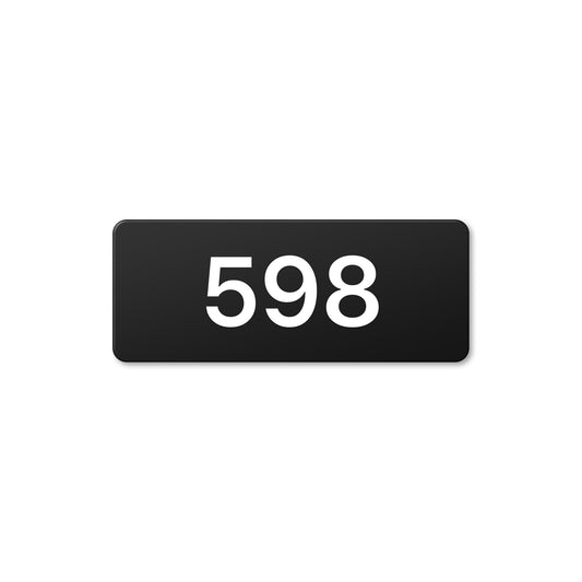 Numeral 598