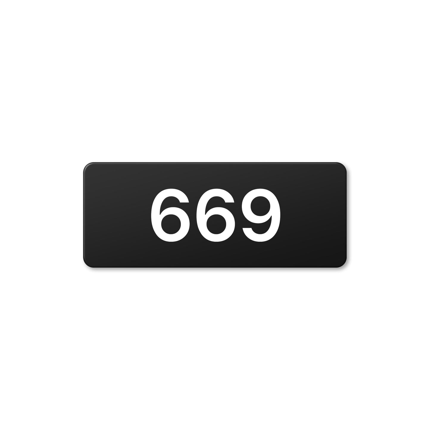 Numeral 669